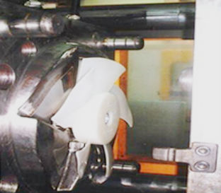 Mold Testing